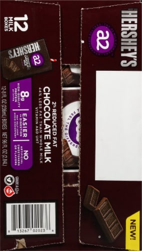 HERSHEY's a2 Milk Aseptic Chocolate Milk Perspective: left