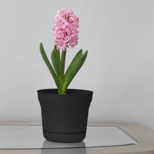 Bloem SP1400 Saturn Indoor Outdoor 14 Inch Planter Pot w/ Matching Saucer, Black Perspective: left