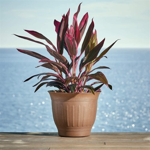 Bloem CLN12-43 12 Colonnade Wood Resin Planter, Dark Earth Perspective: left