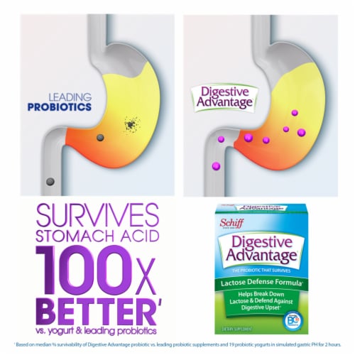 Digestive Advantage Daily Probiotics + Lactose Support Capsules Perspective: left