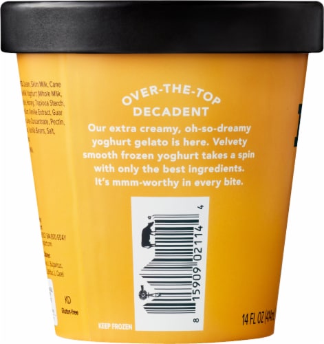 Noosa® Honey Vanilla Frozen Yogurt Gelato Perspective: left