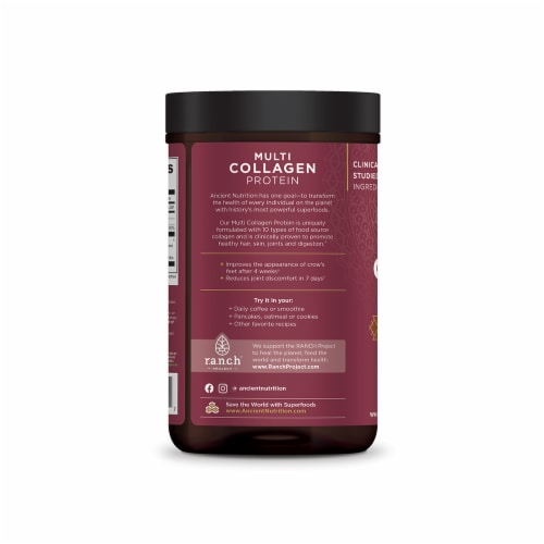 Ancient Nutrition Chocolate Multi Collagen Protein Perspective: left