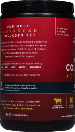 Ancient Nutrition Multi Collagen Advanced Hydrate - Berry Flavor Powder Perspective: left