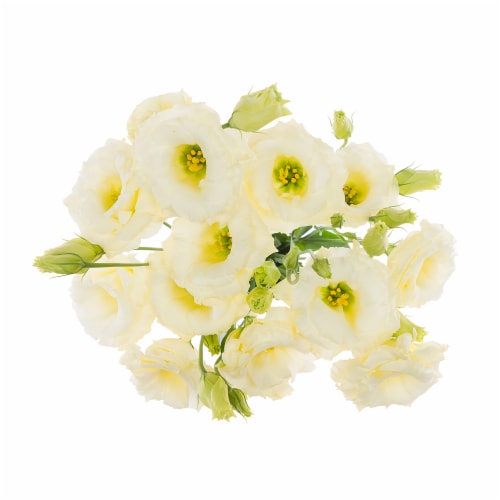 Super Bloom Lisianthus Perspective: left