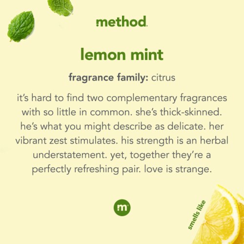 Method Lemon Mint Dish Soap Perspective: left
