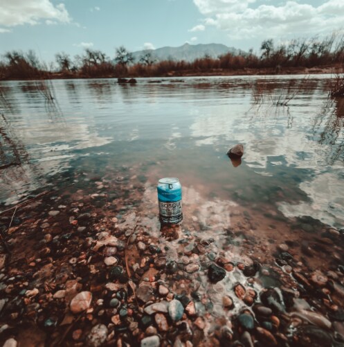 Bosque Brewing Co Riverwalker IPA Craft Beer Perspective: left