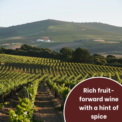 Lisboa Bonita Red Blend Wine Perspective: left