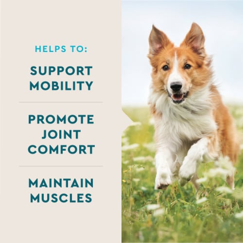 VetIQ Hip & Joint Supplement for Dogs, Chicken Flavored Soft Chews, 7.4 oz Perspective: left
