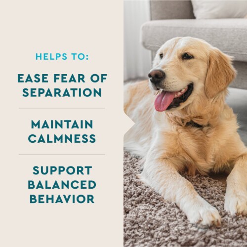 VetIQ Calming Chew for Dogs Perspective: left