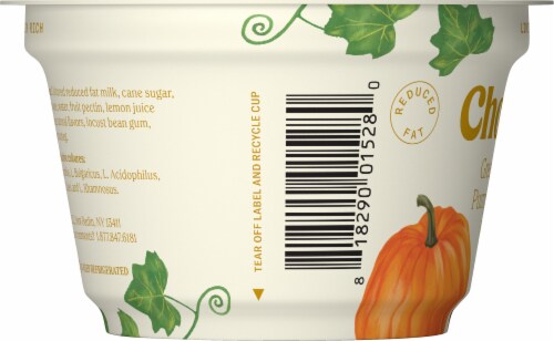 Chobani® Limited Batch Pumpkin Spice Lowfat Greek Yogurt Cup Perspective: left