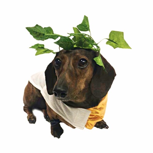 Midlee Toga Dog Halloween Costume (XXX-Large) Perspective: left