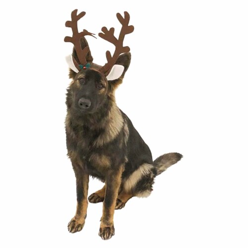 Reindeer antlers discount near me