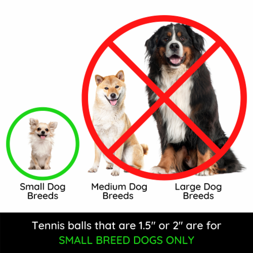 Mini dog tennis balls sale
