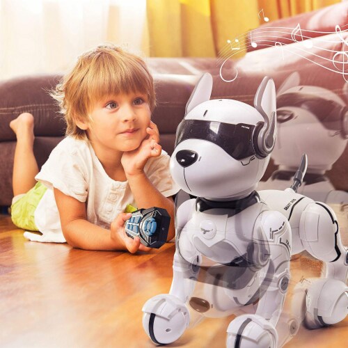 Top Race Remote Control Robot Dog Toy Kids Rc Dog Robot Toys 2 10 Yr 3.5 H 10.9 L 7.8 W Foods Co