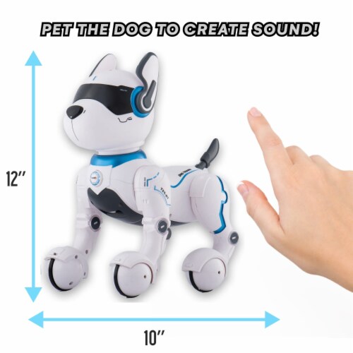 Top Race Remote Control Robot Dog Toy for Kids, Interactive & Smart Da