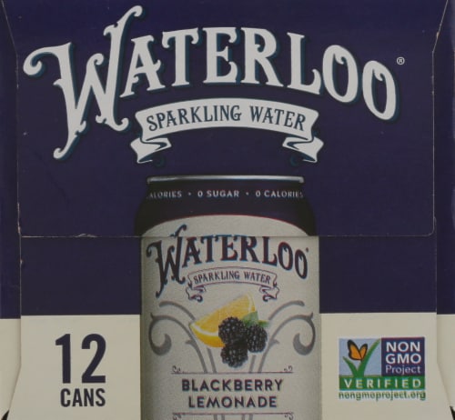Waterloo® Blackberry Lemonade Flavored Sparkling Water Cans Perspective: left