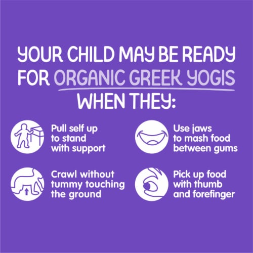 Happy Baby Organic Greek Yogis Fruit & Veggie Snacks Blueberry & Purple Carrot Bag Perspective: left
