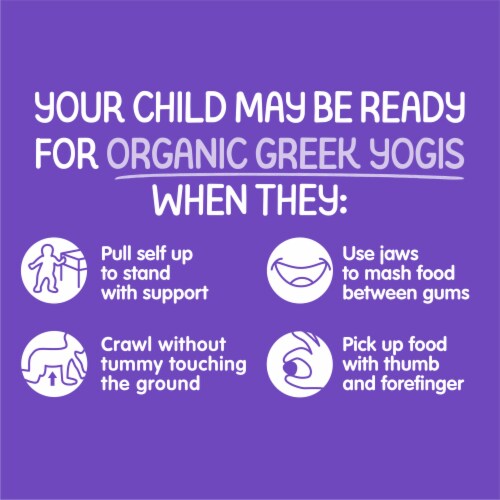 Happy Baby Organic Greek Yogis Fruit & Veggie Snacks Blueberry & Purple Carrot Bag Perspective: left