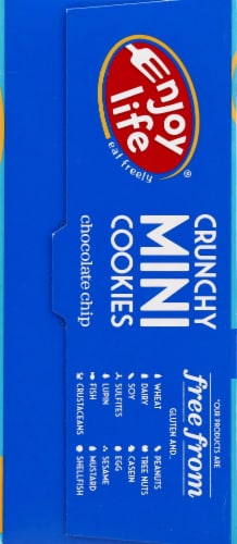 Enjoy Life Crunchy Chocolate Chip Mini Cookie Snack Packs 6 Count Perspective: left