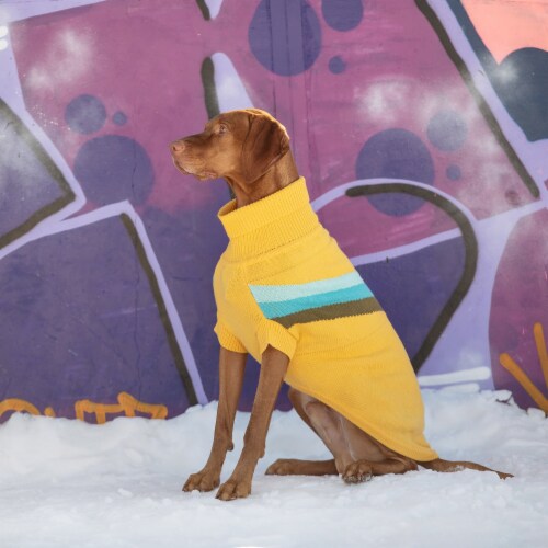 GF PET Alpine Dog Sweater Yellow 2X Large 2X Large Ralphs
