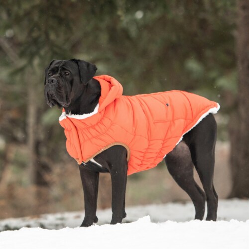 Large deals dog parka