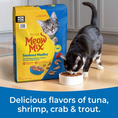 Meow Mix Seafood Medley Dry Cat Food Perspective: left