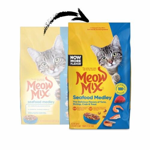 Meow Mix Seafood Medley Dry Cat Food Perspective: left