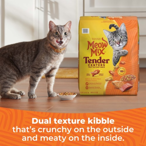 Meow Mix Tender Centers Dry Cat Food, Salmon & White Meat Chicken Flavors Perspective: left