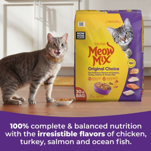 Meow Mix Original Choice Dry Cat Food Perspective: left