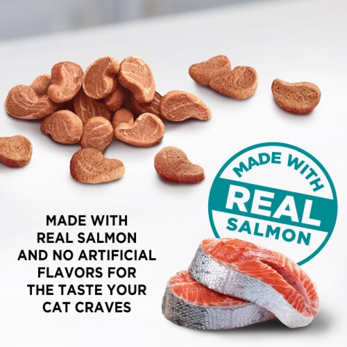 Meow Mix Irresistibles Cat Treats Soft With Salmon, 12 Ounce Bag Perspective: left