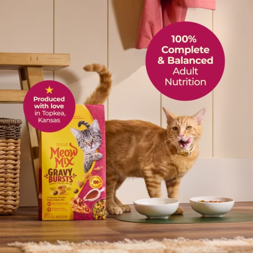 Meow Mix Gravy Bursts Savory Chicken Flavor Mix with Gravy Filled Pieces, Dry Cat Food, 3 Pound Bag Perspective: left