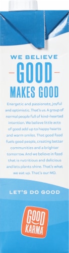 Good Karma Foods Omega 3 + Protein Vanilla Lightly Sweetened Flaxmilk Perspective: left