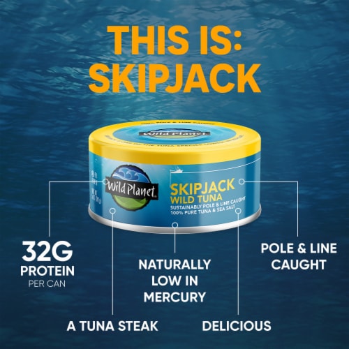 Wild Planet Skipjack Wild Tuna Perspective: left