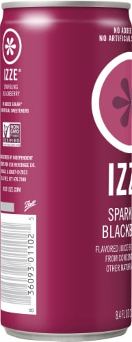 IZZE Sparkling Juice Beverage Blackberry Flavored Juice Drink, 8.4 fl oz -  Ralphs