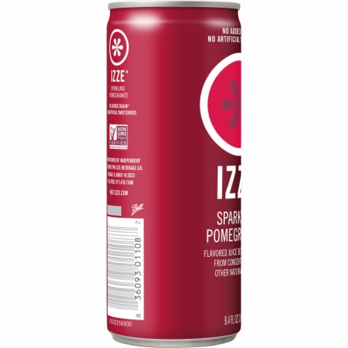 IZZE® Pomegranate Sparkling Juice Can Perspective: left