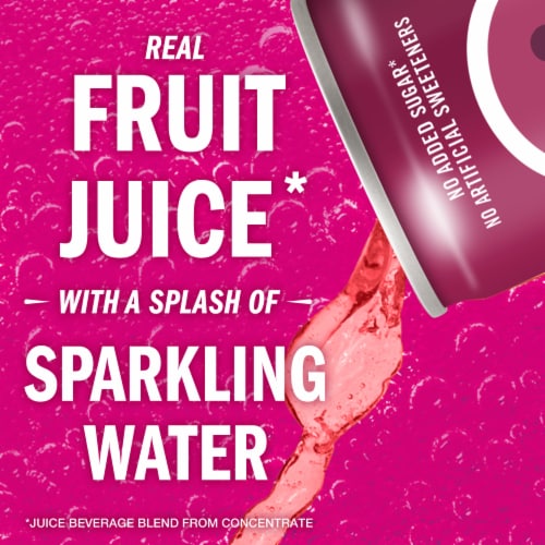 IZZE No Sugar Added Blackberry Sparkling Juice Beverage Blend Perspective: left