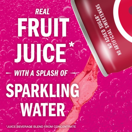 IZZE No Sugar Added Pomegranate Sparkling Juice Beverage Blend Perspective: left