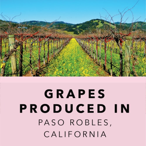 Chronic Cellars Pink Pedals Rose California Wine Perspective: left