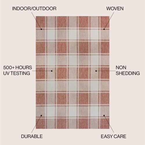 Sabine Traditional Farmhouse Bold Gingham Indoor/Outdoor Area Rug Perspective: left