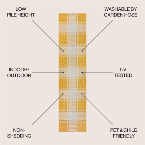 Sabine Traditional Farmhouse Bold Gingham Indoor/Outdoor Area Rug Perspective: left