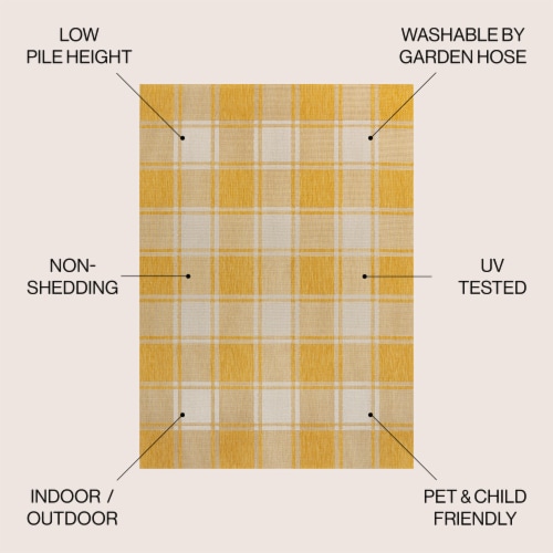 Sabine Traditional Farmhouse Bold Gingham Indoor/Outdoor Area Rug Perspective: left