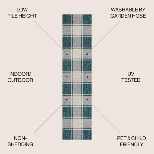 Sabine Traditional Farmhouse Bold Gingham Indoor/Outdoor Area Rug Perspective: left