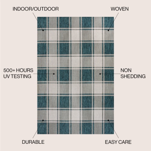 Sabine Traditional Farmhouse Bold Gingham Indoor/Outdoor Area Rug Perspective: left