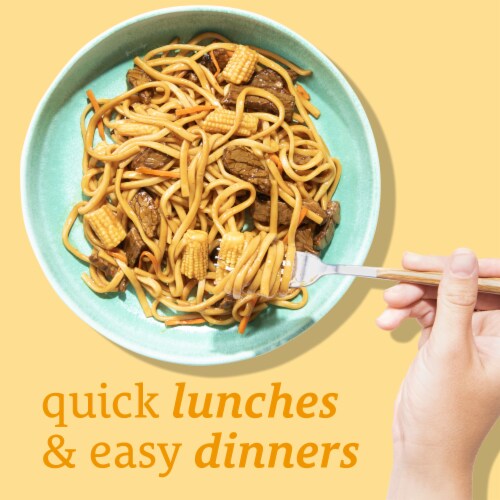 Home Chef Heat And Eat Teriyaki Flavored Beef With Udon Noodles Perspective: left