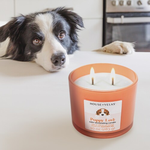 House of Velas® Jar Candle Puppy Love Odor Eliminating Perspective: left