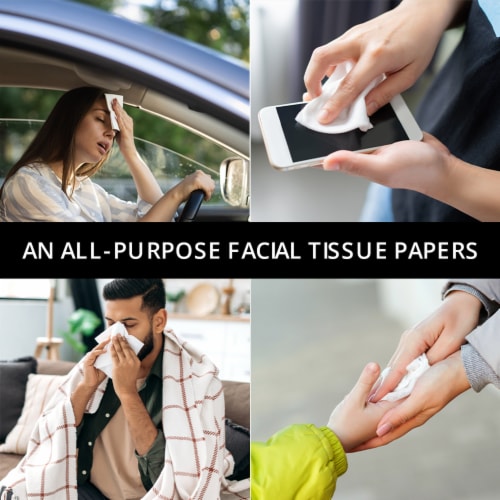 WBM Care Professional Facial Tissue with Rose Fragrance, 200 Sheets/Each, Pack of 10 Perspective: left
