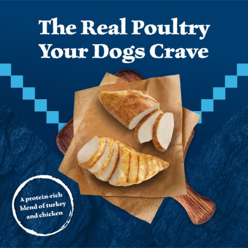 Blue Wilderness Turkey & Chicken Grill Wet Senior Dog Food Perspective: left