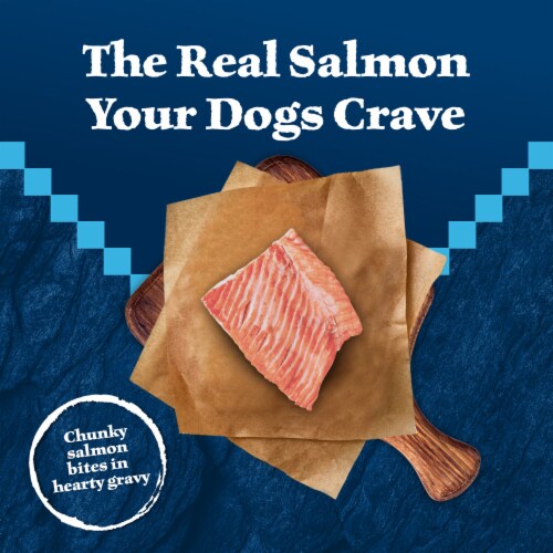 Blue Buffalo Wilderness Natural High-Protein Adult Wild Cuts Wet Dog Food Salmon & Hearty Gravy Perspective: left