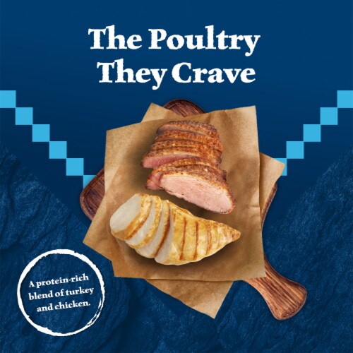 Blue Buffalo Wilderness High-Protein Adult Wet Dog Food Turkey & Chicken Grill Perspective: left