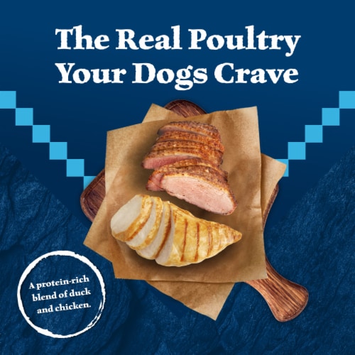 Blue Buffalo Wilderness High Protein Natural Duck & Chicken Grill Adult Wet Dog Food Perspective: left